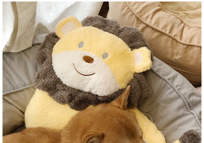 Almohada Lumbar Ergonómica con Diseños de Animales Adorables - Image 8