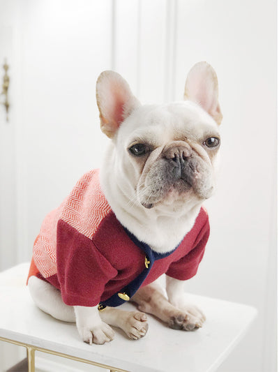 Suéter Británico para Perros y Gatos - Ropa Cómoda para Mascotas - Image 10