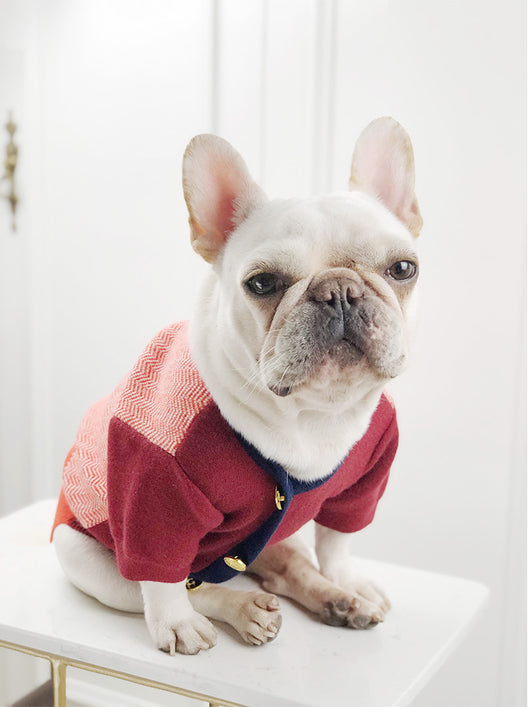 Suéter Británico para Perros y Gatos - Ropa Cómoda para Mascotas - Image 10