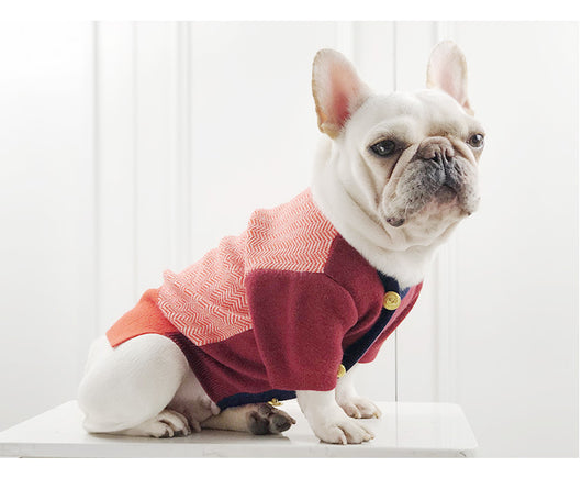 Suéter Británico para Perros y Gatos - Ropa Cómoda para Mascotas - Image 12
