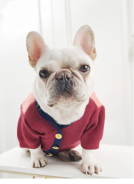 Suéter Británico para Perros y Gatos - Ropa Cómoda para Mascotas - Image 9