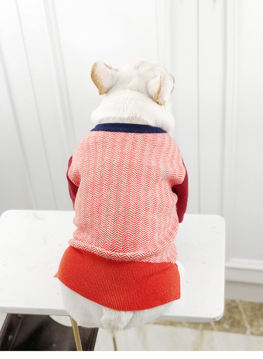 Suéter Británico para Perros y Gatos - Ropa Cómoda para Mascotas - Image 3