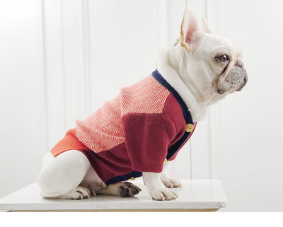 Suéter Británico para Perros y Gatos - Ropa Cómoda para Mascotas - Image 4