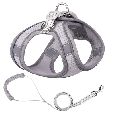 Chaleco de Tracción para Perros Pequeños - Image 11