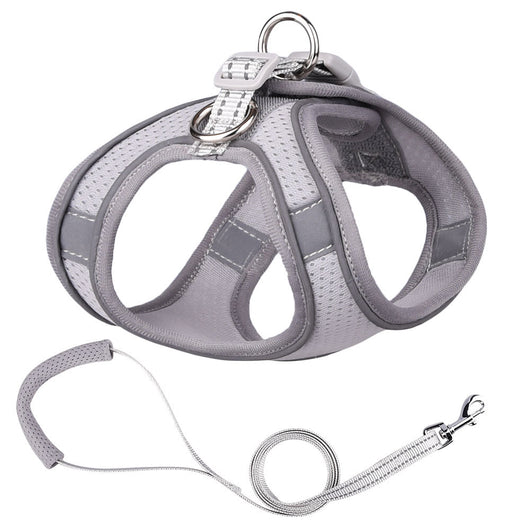 Chaleco de Tracción para Perros Pequeños - Image 11