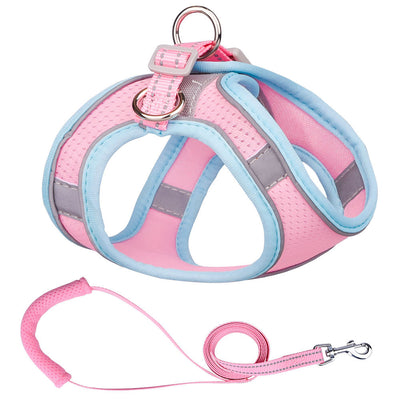 Chaleco de Tracción para Perros Pequeños - Image 17