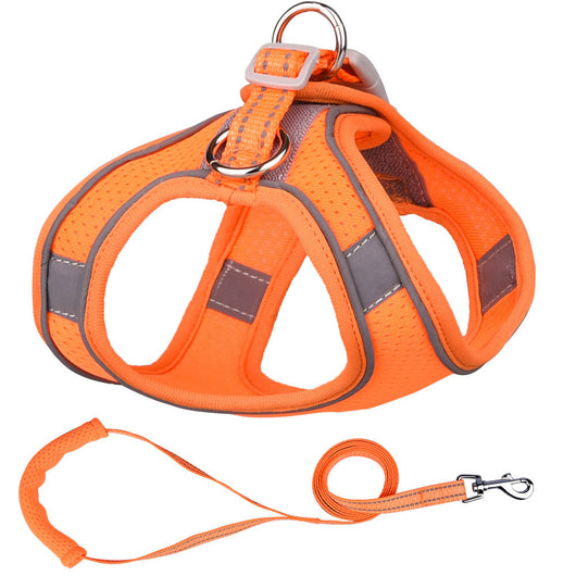 Chaleco de Tracción para Perros Pequeños - Image 10