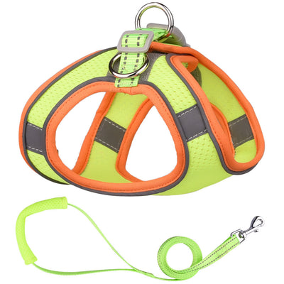 Chaleco de Tracción para Perros Pequeños - Image 3