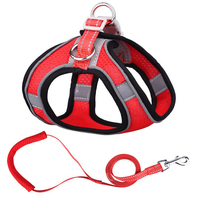 Chaleco de Tracción para Perros Pequeños - Image 2