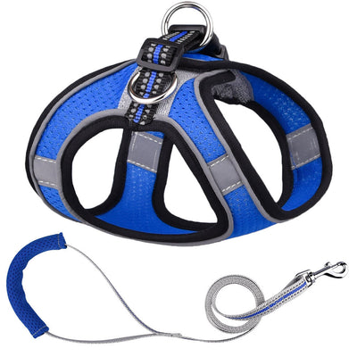 Chaleco de Tracción para Perros Pequeños - Image 6
