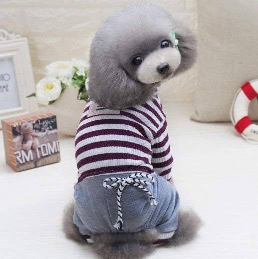 Vestido para Perro Bichon Schnauzer en Estilo Lechero