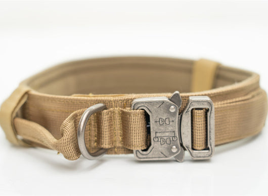 Collares de Nylon para Perros Medianos y Grandes - Image 5