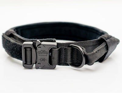 Collares de Nylon para Perros Medianos y Grandes - Image 3