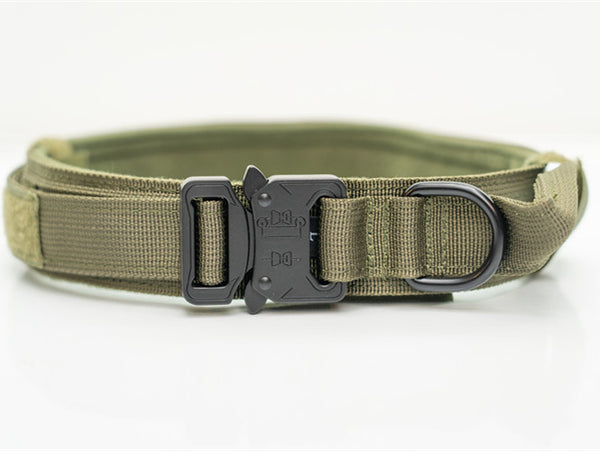 Collares de Nylon para Perros Medianos y Grandes