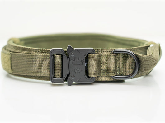 Collares de Nylon para Perros Medianos y Grandes - Image 2