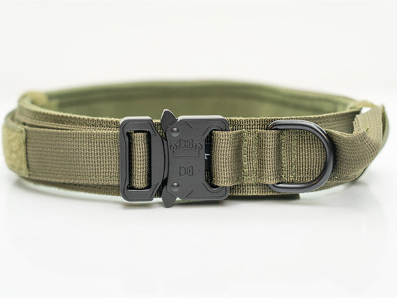 Collares de Nylon para Perros Medianos y Grandes