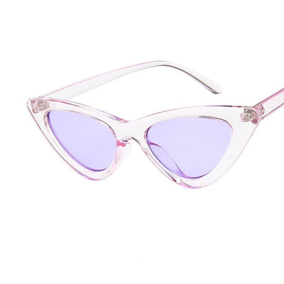 Gafas de Sol Cat Eye Retro Europeas y Americanas - Image 8