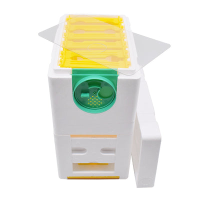 Kit Completo de Colmena para Abejas Reina - Caja Doble Capa King Size con Espuma
