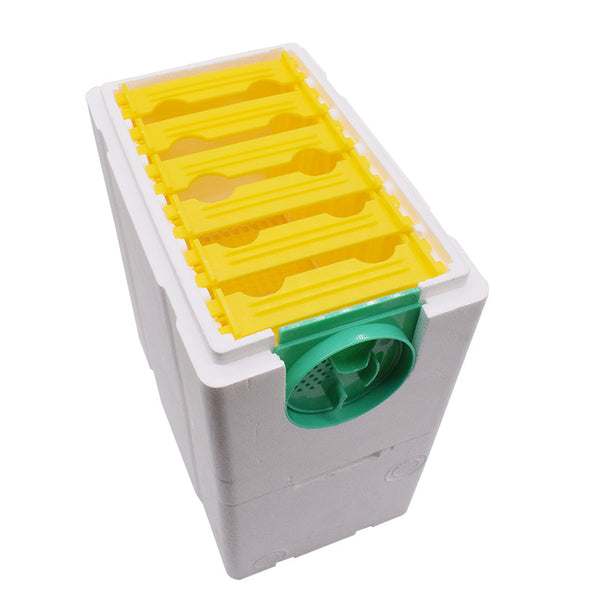 Kit Completo de Colmena para Abejas Reina - Caja Doble Capa King Size con Espuma