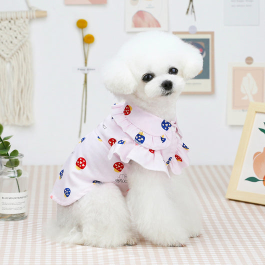Ropa Ligera para Perros y Gatos - Abrigos Frescos para Mascotas Primavera - Image 8