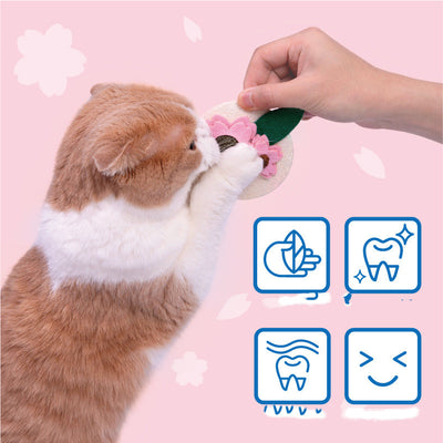 Juguete Dental para Gatos con Catnip y Sakura - Limpiador de Dientes Felino - Image 8