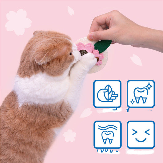 Juguete Dental para Gatos con Catnip y Sakura - Limpiador de Dientes Felino - Image 8