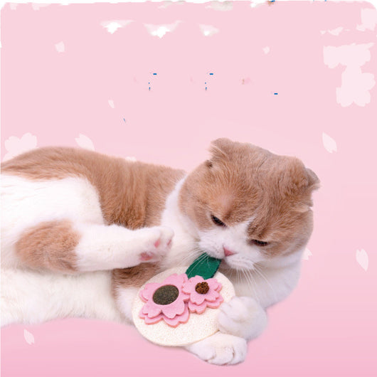 Juguete Dental para Gatos con Catnip y Sakura - Limpiador de Dientes Felino - Image 7