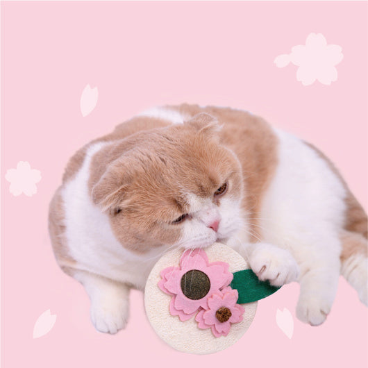 Juguete Dental para Gatos con Catnip y Sakura - Limpiador de Dientes Felino - Image 3