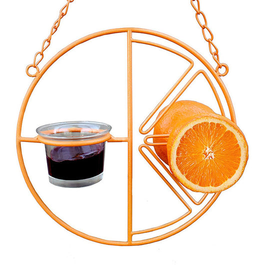 Comedero para Pájaros Oriole con Dispensador de Jalea y Frutas - Colgante Metálico para Jardín