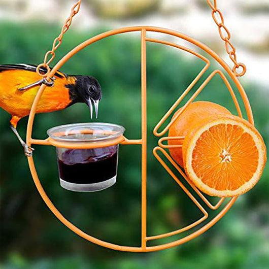 Comedero para Pájaros Oriole con Dispensador de Jalea y Frutas - Colgante Metálico para Jardín - Image 2
