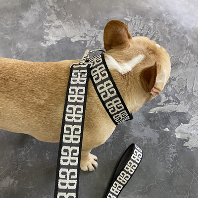 Transportín de Cuerda para Perros Pequeños y Medianos - Golden Retriever, Corgi y Mascotas - Image 8