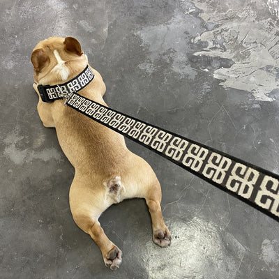 Transportín de Cuerda para Perros Pequeños y Medianos - Golden Retriever, Corgi y Mascotas - Image 10