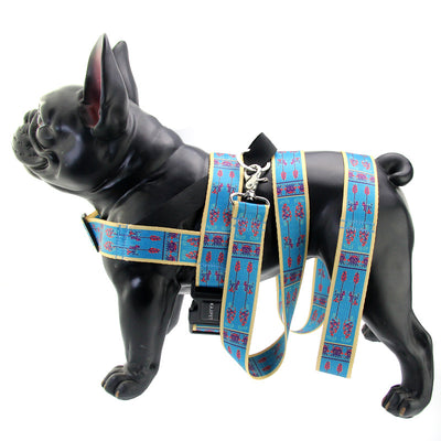 Arnés Pecho para Perros Pequeños y Medianos Corgi - Seguridad y Comodidad - Image 7