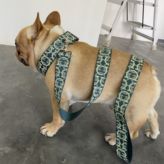 Arnés de Pecho para Perros Pequeños y Medianos con Correa Integrada - Image 24