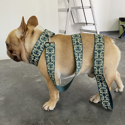 Arnés de Pecho para Perros Pequeños y Medianos con Correa Integrada - Image 22