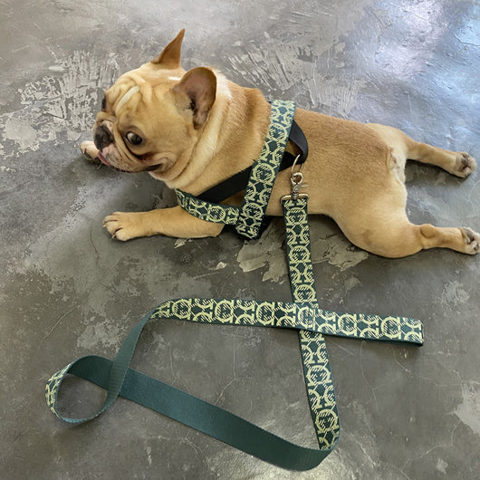 Arnés de Pecho para Perros Pequeños y Medianos con Correa Integrada - Image 8