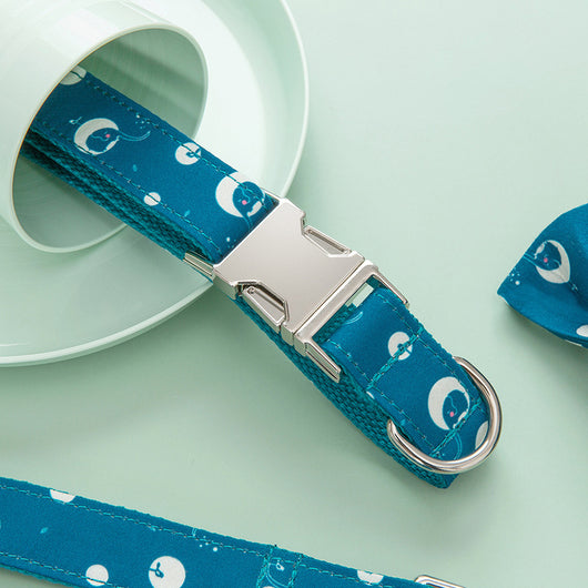 Collar de Seguridad Reflectante para Paseos de Perros - Image 7
