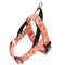 Naranja C Chest Strap S