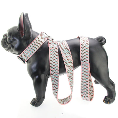 Arnés Teddy Acolchonado con Correa Pectoral para Perros Pequeños y Medianos - Image 4