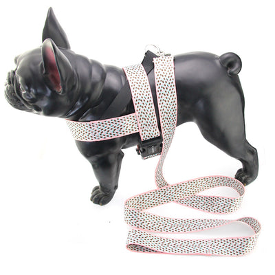 Arnés Teddy Acolchonado con Correa Pectoral para Perros Pequeños y Medianos - Image 2
