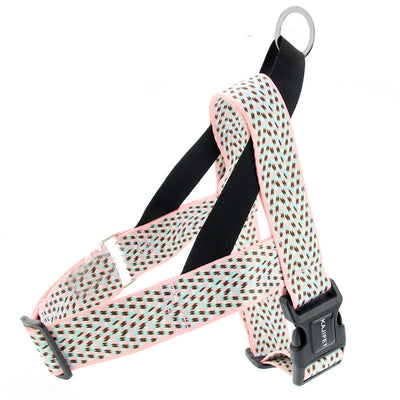 Arnés Teddy Acolchonado con Correa Pectoral para Perros Pequeños y Medianos - Image 9