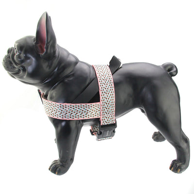 Arnés Teddy Acolchonado con Correa Pectoral para Perros Pequeños y Medianos - Image 11