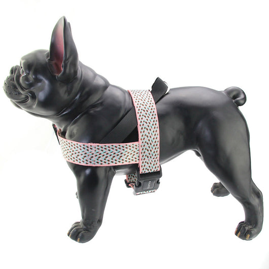 Arnés Teddy Acolchonado con Correa Pectoral para Perros Pequeños y Medianos - Image 11