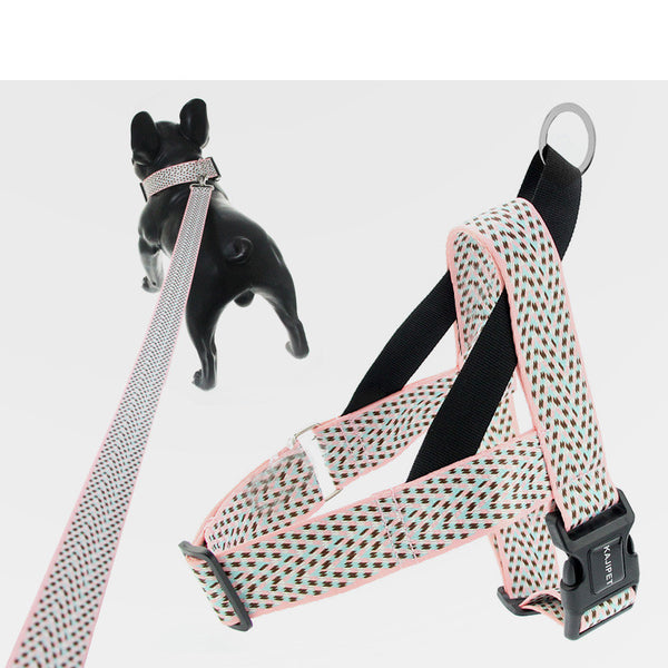 Arnés Teddy Acolchonado con Correa Pectoral para Perros Pequeños y Medianos