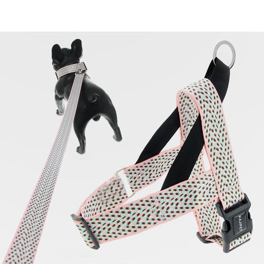 Arnés Teddy Acolchonado con Correa Pectoral para Perros Pequeños y Medianos