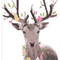 Cuadro de Pintura Digital Lienzo Infantil - Venado Auspicioso