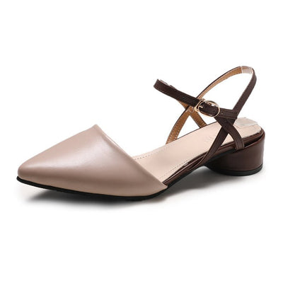 Zapatos Baotou con Tacón Cuadrado Medio y Punta Afilada con Cinturón - Image 11