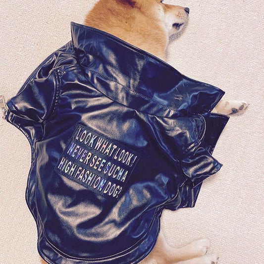 Abrigo de Cuero Estilo Francés para Shiba Inu y Mascotas Pequeñas - Image 2