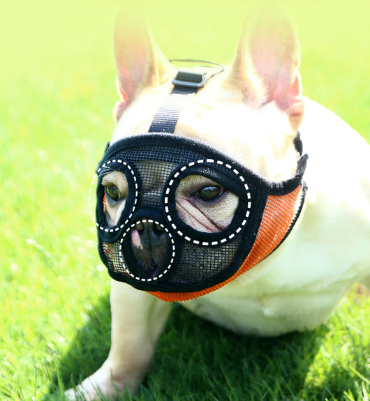 Bozal Suave Antiladridos y Mordidas para Cachorros - Image 16