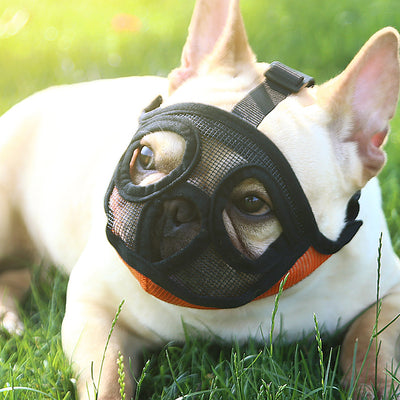 Bozal Suave Antiladridos y Mordidas para Cachorros - Image 12